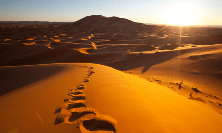 بیابان واهب